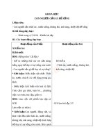 Giáo án khoa học 4 bài con người cần gì để sống 