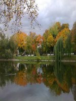 Bài giảng bài học hát đàn gà con âm nhạc 1 (7) 