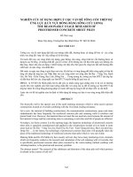Nghiên cứu sử dụng hợp lý cọc ván bê tông cốt thép dự ứng lực (lưu vực đồng bằng sông cửu long) 