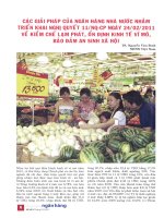 Các giải pháp của ngân hàng nhà nước nhằm triển khai nghị quyết 11 NQ CP ngày 24 02 2011 về kiềm chế lạm phát, ổn định kinh tế vĩ mô, bảo đảm an sinh xã hội 