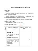 Giáo án TNXH 1 bài thực hành quan sát bầu trời 