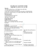 Giáo án TNXH 2 bài nhận biết cây cối và các con vật 