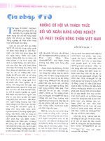 Gia nhập WTO những cơ hội và thách thức đối với ngân hàng nông nghiệp và phát triển nông thôn việt nam 