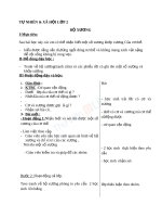 Giáo án TNXH 2 bài bộ xương (3) 