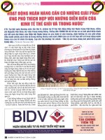 Hoạt động ngân hàng cần có những giải pháp ứng phó thích hợp với những diễn biến của kinh tế thế giới và trong nước 