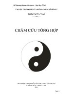 Châm cứu tổng hợp