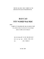 Nghiên cứu tình hình tiêu thụ sản phẩm cà phê của công ty đầu tư sản xuất và xuất nhập khẩu cà phê, cao su nghệ an 