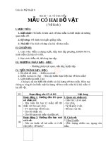 Giáo án mỹ thuật 6 vẽ mẫu có 2 đồ vật (2) 