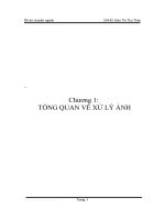 Ứng dụng xử lý ảnh vào nhận dạng ảnh và tìm kiếm ảnh