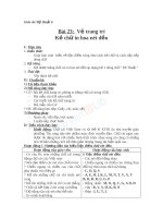 Giáo án mỹ thuật 6 bài kẻ chữ in hoa nét đều (2) 