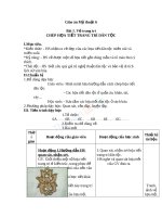 Giáo án mỹ thuật 6 bài chép họa tiết trang trí dân tộc (2) 