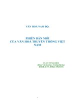 Văn hoá nam bộ  phiên bản mới của văn hoá truyền thống việt nam