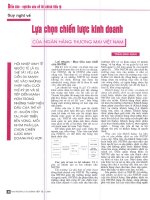 Suy nghĩ về lựa chọn chiến lược kinh doanh của ngân hàng TMVN 