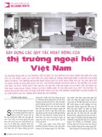 Xây dựng các quy tắc hoạt động của thị trường ngoại hối việt nam 