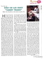 Tìm hiểu về đầu cơ lãi suất carry trade trên thị trường hối đoái quốc tế 