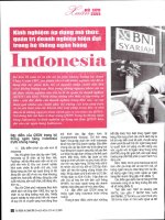 Kinh nghiệm áp dụng mô thức quản trị doanh nghiệp hiện đại trong hệ thống ngân hàng indonesia 