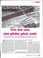 Vai trò của sản phẩm phái sinh trong các cuộc khủng hoảng tài chính tiền tệ 