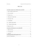 Ứng dụng mô hình var trong phân tích rủi ro 