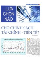 Lựa chọn nào cho chính sách tài chính tiền tệ 