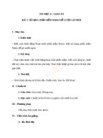 Giáo án tin học 6 bài sử dụng phần mềm mario để luyện gõ phím (3) 