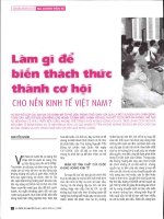 Làm gì để biến thách thức thành cơ hội cho nền kinh tế việt nam 