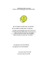 Vai trò calcium trong việc tăng năng xuất và phẩm chất đậu phộng MD7 trên vùng đất cát bảy núi an giang 