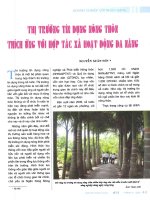 Thị trường tín dụng nông thôn thích ứng với hợp tác xã hoạt động đa năng 