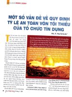 Một số vấn đề về quy định tỷ lệ an toàn vốn tối thiểu của tổ chức tín dụng 