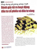 Ứng dụng phương pháp va  đánh giá rủi ro hoạt động đầu tư cổ phiếu và đầu tư vàng 