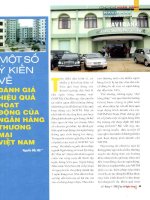 Một số ý kiến về đánh giá hiệu quả hoạt động của ngân hàng thương mại việt nam 