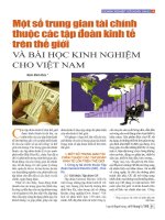 Một số trung gian tài chính thuộc các tập đoàn kinh tế trên thế giới và bài học kinh nghiệm cho việt nam 