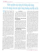 Kinh nghiệm xây dựng hệ thống xếp hạnh rủi ro tín dụng của các ngân hàng thương mại mỹ 