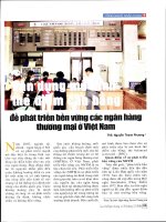 Vận dụng mô hình thẻ điểm cân bằng để phát triển bền vững các ngân hàng thương mại ở việt nam 