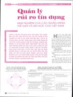 Quản lý rủi ro tín dụng kinh nghiệm của các ngân hàng thế giới và bài học cho việt nam 