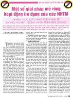 Một số giải pháp mở rộng hoạt động tín dụng của các ngân hàng thương mại nhằm thúc đẩy phát triển kinh tế nông nghiệp, nông thôn tỉnh kiên giang 