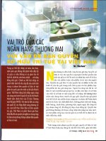 Vai trò của các ngân hàng thương mại với vấn đề bản quyền sở hữu trí tuệ tại việt nam 