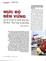 Mức độ bền vững của các tổ chức tài chính nông thôn việt nam   thực trạng và giải pháp 