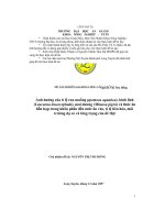 Ảnh hưởng của tỉ lệ rau muống, bình linh, mai dương và thức ăn hỗn hợp trong khẩu phần đến mức ăn vào, tỉ lệ tiêu hóa, môi trường dạ cỏ và tăng trọng của dê thịt 