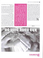 Tư phát  thị trường ngoại hối việt nam khả năng bình ổn 