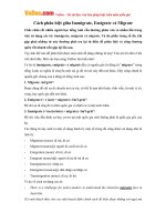 Cách phân biệt giữa Immigrate, Emigrate và Migrate