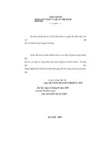 Hạch toán nguyên vật liệu và một số biện pháp nâng cao hiệu quả sử dụng nguyên vật liệu tại công ty TNHH sao mai việt nam 