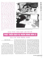 Khai thác hiệu quả lợi thế để phát triển dịch vụ ngân hàng bán lẻ của các TCTD trong nước 