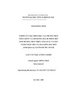 Nghiên cứu đặc điểm thực vật, phương pháp nhân giống và ảnh hưởng mật độ trồng đến sinh trưởng, phát triển, năng suất và chất lượng dược liệu của hai mẫu giống râu mèo (orthosiphon sp ) tại thanh trì hà nội 