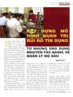 Xây dựng mô hình quản trị rủi ro tín dụng từ những ứng dụng nguyên tắc BASEL về quản lý nợ xấu 