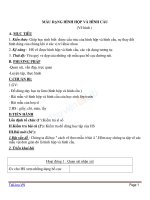 Giáo án mỹ thuật 6 bài mẫu có dạng hình hộp và hình cầu (3) 