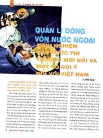 Quản lý dòng vốn nước ngoài kinh nghiệm các nước thị trường mới nổi và một số gợi ý đối với việt nam 