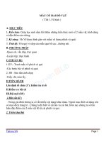 Giáo án mỹ thuật 6 bài vẽ mẫu có 2 đồ vật (7) 