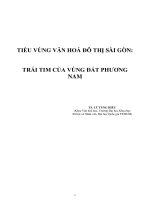 Tiểu vùng văn hóa đô thị sài gòn  trái tim của vùng đất phương nam