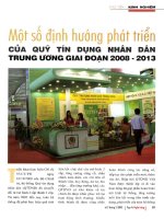 Một số định hướng phát triển của quỹ tín dụng nhân dân trung ương giai đoạn 2008   2013 