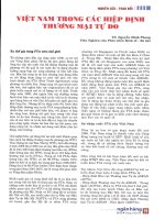 Việt nam trong các hiệp định thương mại tự do 